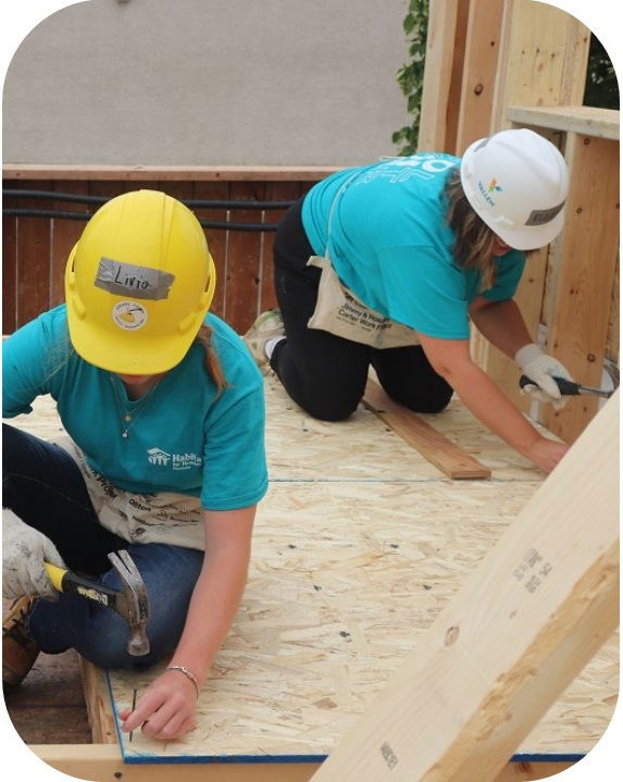 Habitat Fundraising Ladder