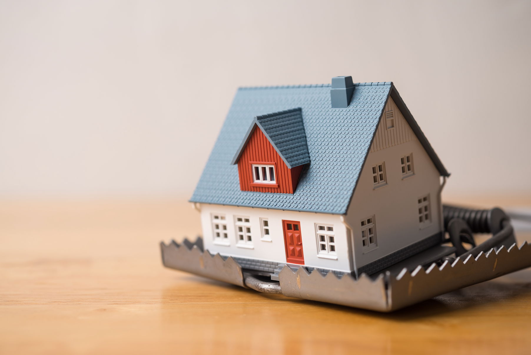 Toy home in an open trap